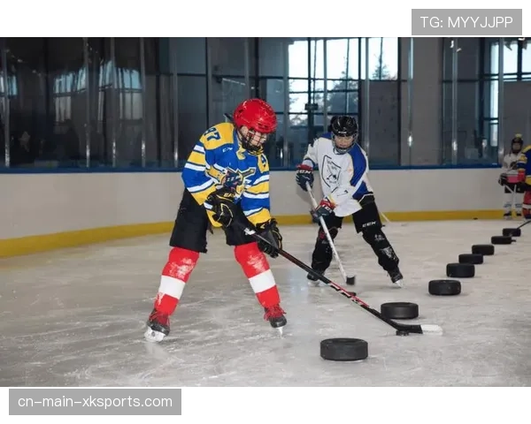 冰球公益：NHL球员协会组织退役球员前往社区指导残疾儿童滑冰